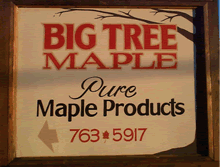 Big Tree Maple Pure Maple Products - (716) 763-5917